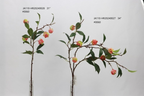 24-SPRING-JA110-002