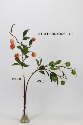 24-SPRING-JA110-004