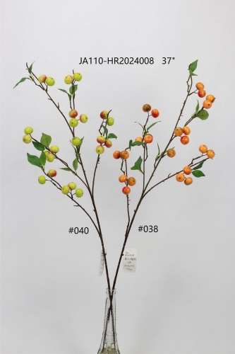 24-SPRING-JA110-021