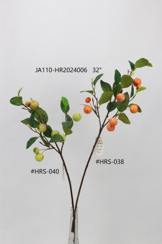 24-SPRING-JA110-035