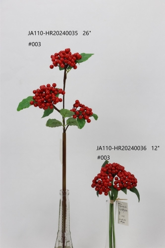 24-SPRING-JA110-013