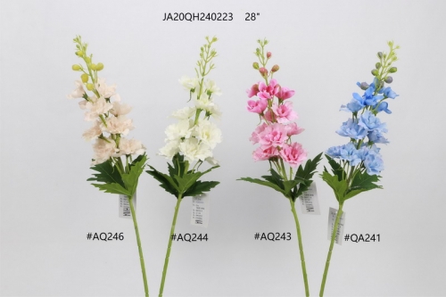 24-SPRING-JA20071