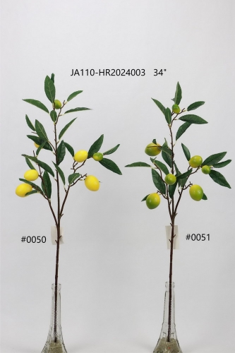 24-SPRING-JA110-034