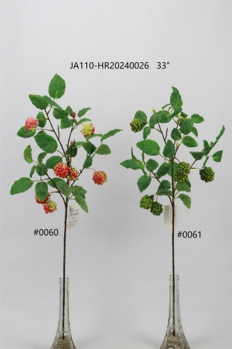 24-SPRING-JA110-003
