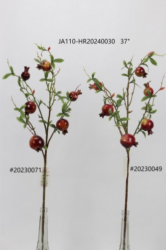 24-SPRING-JA110-025