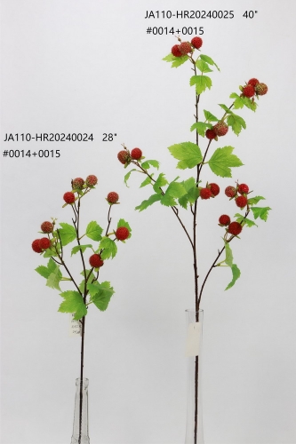 24-SPRING-JA110-005