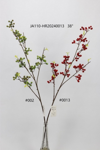 24-SPRING-JA110-019