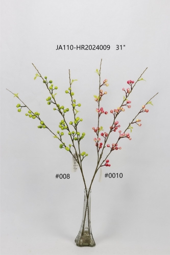 24-SPRING-JA110-016