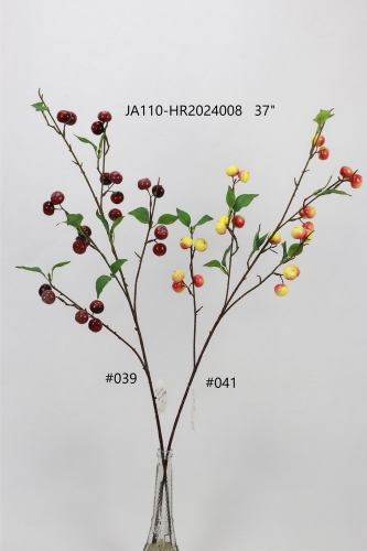 24-SPRING-JA110-022