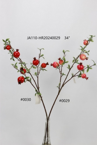 24-SPRING-JA110-027