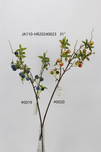 24-SPRING-JA110-036