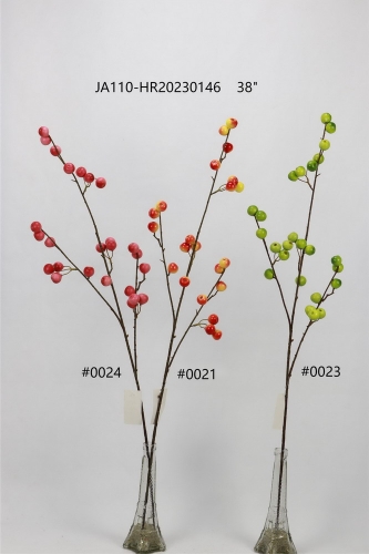 24-SPRING-JA110-023