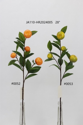 24-SPRING-JA110-032