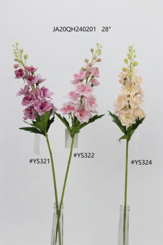 24-SPRING-JA20038