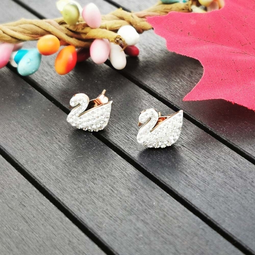 Earrings EE-477MW