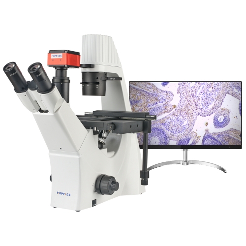 KOPPACE 774X-3096X Inverted Biological Laboratory Microscope Phase Contrast Observation of Cell Tissue 4K HD Camera