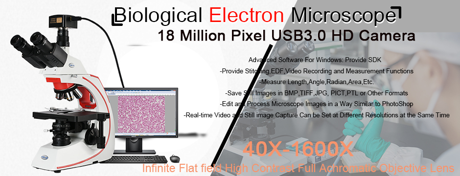 Three-dimensional microscope