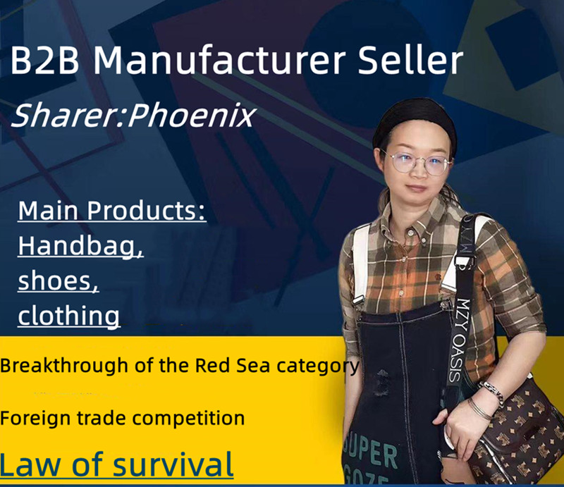 How B2B Manufacturer seller Breakthrough of the Red Sea category foreign trade competition law of survival?