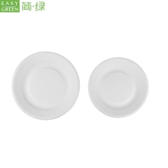 Disposable Biodegradable Party Plates Sugarcane For Cake/Bread