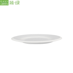 Disposable Biodegradable Party Plates Sugarcane For Cake/Bread