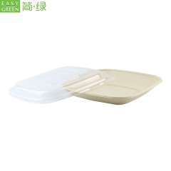 Biodegradable Disposable Microwave Take Away Food Bagasse Container With Lid