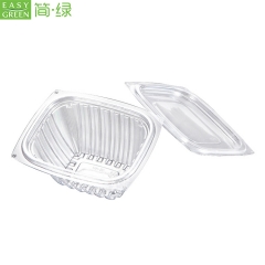 Wholesale Eco Plastic Container Salad Bowl Clear With Lid