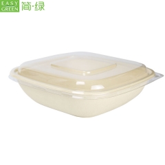 Disposable Biodegradable Microwave Takeaway Food Container