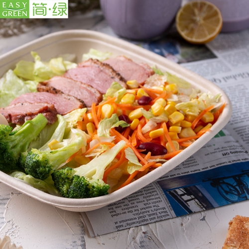 Biodegradable Disposable Microwave Take Away Food Bagasse Container With Lid