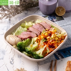 Disposable Biodegradable Microwave Takeaway Food Container
