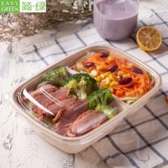 Compostable Bio Degradable Bamboo Pulp Food Container For Lunch Packaging