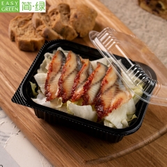 J-8515 Disposable Plastic Sushi Bento Lunch Box Container For Kids