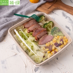 1000ml biodegradable Disposable Sugarcane Bamboo pulp Bento Box