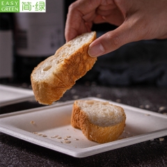 100% Biodegradable Cellulose Pulp Food Plates Disposable