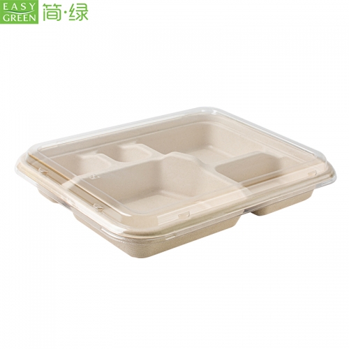 5-com Compostable Bagasse Paper Bamboo Disposable Lunch Plate Compartment Tray