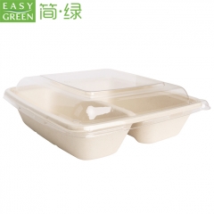 EASY GREEN Bamboo Sugarcane Paper Biodegradable Microwavable rectangle 2 compartment Food Packaging