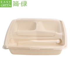 Easy Green Hot Sales Disposable Biodegradable Bagasse Lunch Trays With Lid