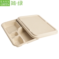 5-com Compostable Bagasse Paper Bamboo Disposable Lunch Plate Compartment Tray With Paper Pulp Lid