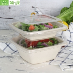 Easy Green Sugarcane Bagasse Pulp Disposable Lunch Box Biodegradable Food Packaging