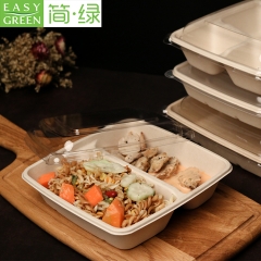 Easy Green Sugarcane Bagasse Pulp Disposable Lunch Box Biodegradable Food Packaging