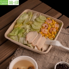 Easy Green wholesale sugarcane bagasse takeaway containers supplier