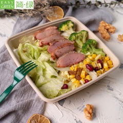 Easy Green wholesale sugarcane bagasse takeaway containers supplier