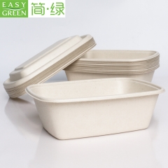 Easy Green biodegradable disposable take out container