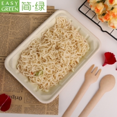 Easy Green bagasse pulp tray plate for fresh green salad, fruit etc.