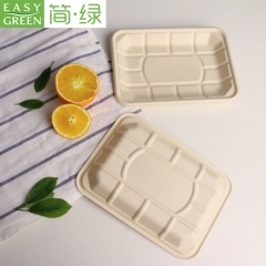 Easy Green bagasse pulp tray plate for fresh green salad, fruit etc.