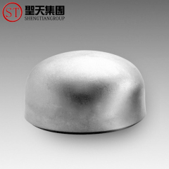 Stainless Steel Cap