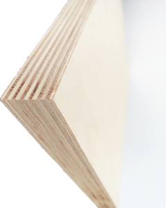 Birch
Plywood