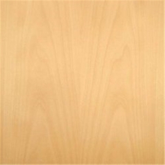 Beech Veneer