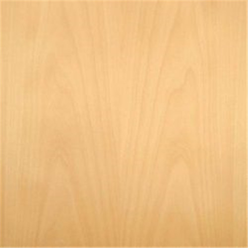 Beech Veneered Plywood