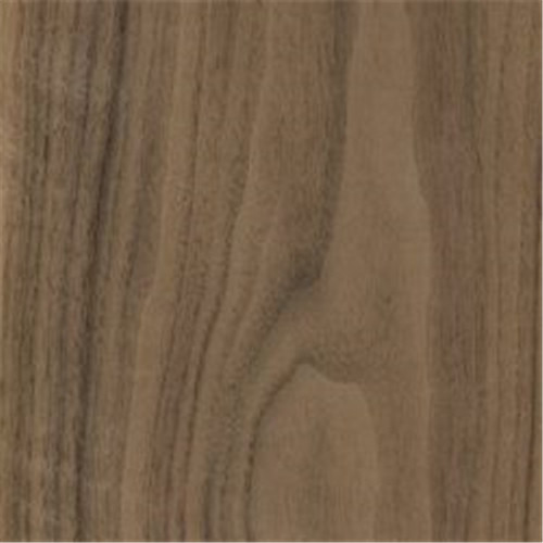 Walnut Veneer