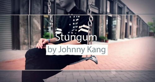 Johnny Kang - Stungum